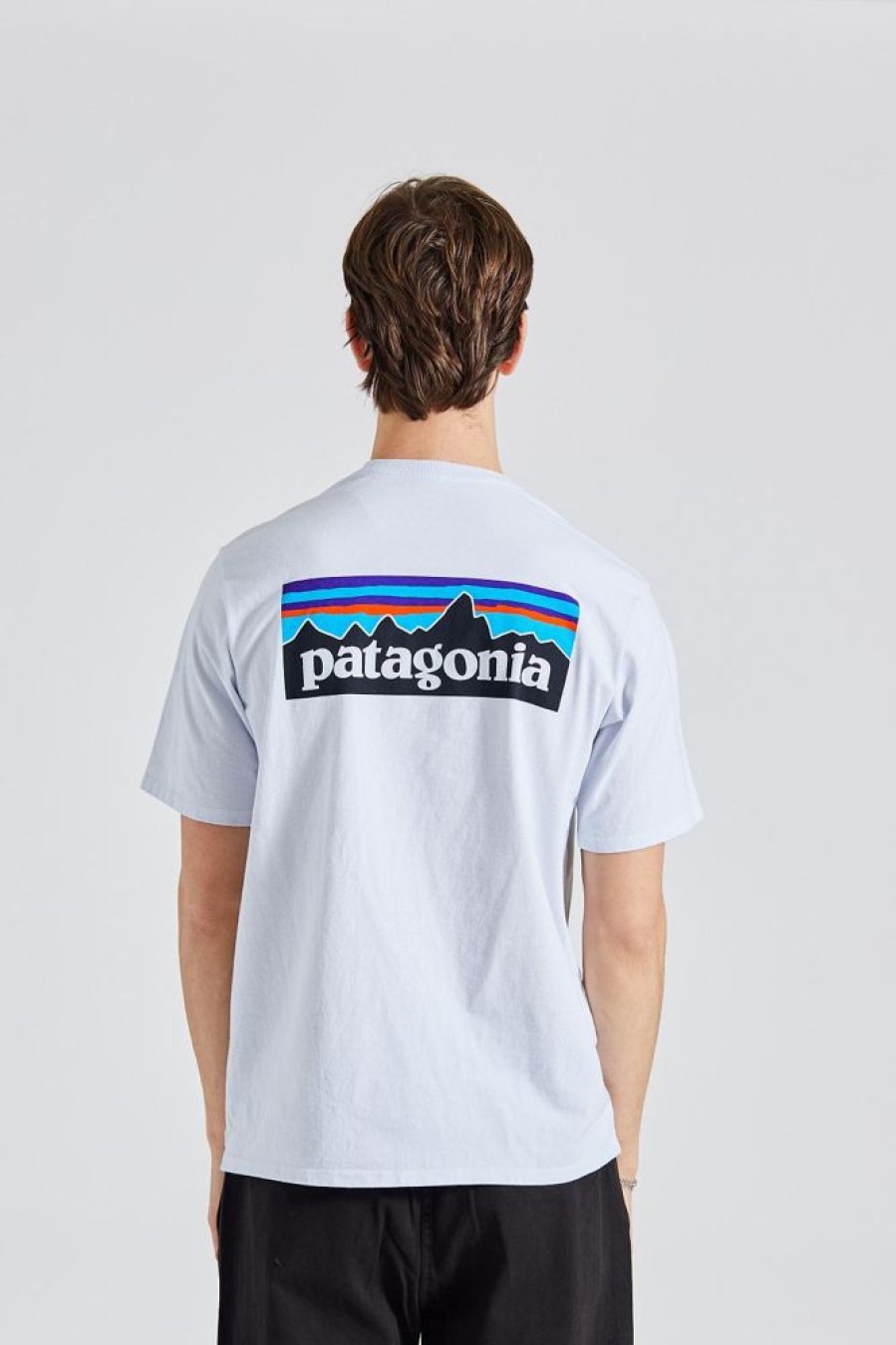 Herre Patagonia T-Skjorter | M P-6 Logo Respinsibili Tee White