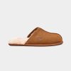 Herre UGG Tofler | M Scuff Chestnut